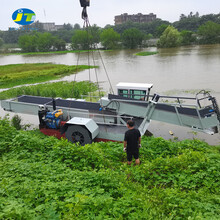 吉林芦苇收割打捞船水中植物清理船