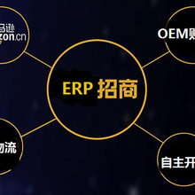 跨境电商ERP系统，支持OEM贴牌定制服务器独立部署