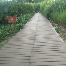 水泥仿木地板批发图片