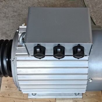 永磁吸盤發(fā)電機
