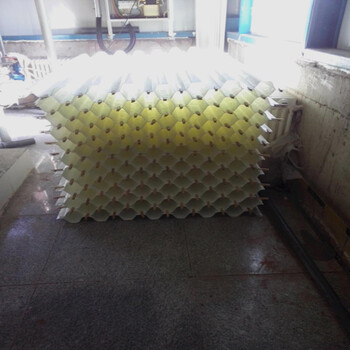 洛宁县聚丙烯材质蜂窝斜管填料，大网格蜂窝斜管填料价格