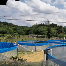 高密度養魚帆布水池篷布魚池養蝦鍍鋅板帆布池灌溉蓄水池圖片