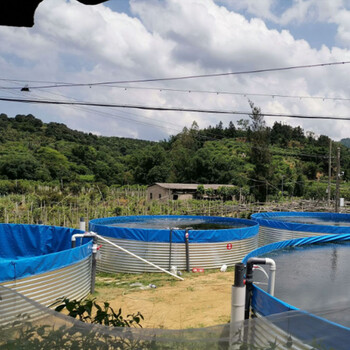 高密度养鱼帆布水池篷布鱼池养虾镀锌板帆布池灌溉蓄水池