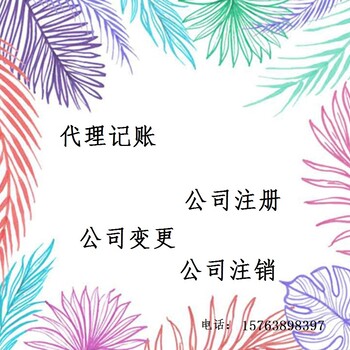 代理记帐、整理旧帐，纳税申报、财务审计、所得税汇算清缴