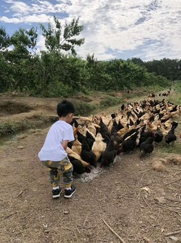 去长沙农家乐度过周末野餐聚会