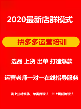 拼多多店群一件代发精细化玩法运营教学