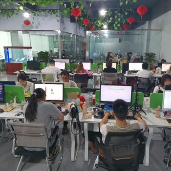 郑州拼多多无货源店群项目创业-店群软件代理加盟