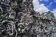 天津河北区各种废旧物资专业回收