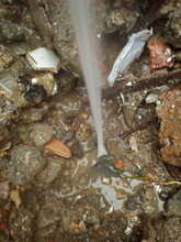 惠阳地下管道检漏，消防水管漏水定位，惠阳自来水管测漏