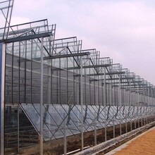 弘康M型玻璃温室大棚建造包设计包施工包售后