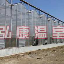 浙江地区纹络型阳光板温室大棚建造