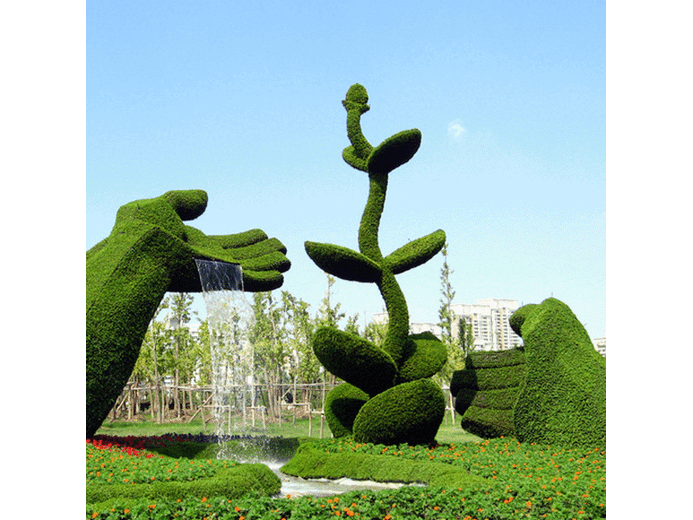 郑州五色草造型种植技术