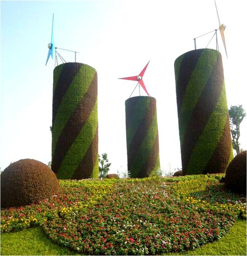 广州五色草造型品种