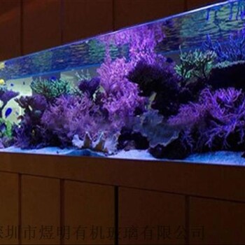 大型生态景观亚克力方形鱼缸压克力鱼缸有机玻璃水族箱