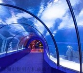 广西南宁海洋馆亚克力水族工程亚克力鱼缸大型有机玻璃鱼缸造景