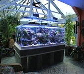 辽宁沈阳大型生态景观亚克力方形鱼缸压克力鱼缸有机玻璃水族箱