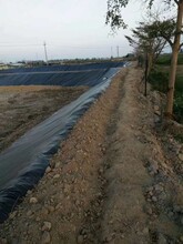 工程膜养护薄膜混凝土建筑膜塑料薄膜工地膜道路工程养护