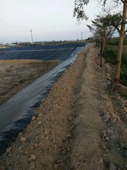 黑色塑料膜养殖膜鱼塘虾塘膜鱼池防水膜蓄水藕池土工膜防渗膜