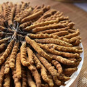 御草集冬蟲夏草有什么功效作用？適合哪些人群吃？