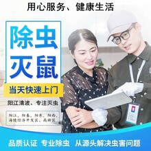 阳江杀虫公司-杀虫消杀快速响应