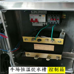 牛场自动电加热饮水槽自动加热恒温控制箱电加热恒温控制系统