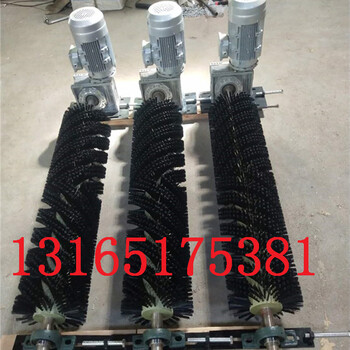 XQ-I型電動(dòng)滾刷清掃器電動(dòng)尼龍毛刷清掃器