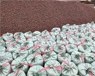 广西柳州建筑陶粒回填陶粒滤水陶粒高强陶粒图片4