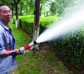 广州怡轩园林绿化养护服务草坪树木修剪除草