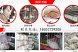 河南濮阳卖种兔的基地肉兔的养殖技术及方法