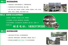 山西忻州保德本地养兔场包教技术包回收图片4