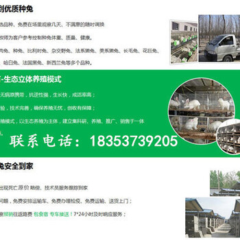 山西忻州忻府养兔场地址国家对养兔的扶持政策