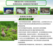 安徽阜阳新西兰兔大型养兔基地六禾兔业图片2