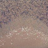 广西玉林彩色洗砂路面施工砾石聚合物材料价格图片3