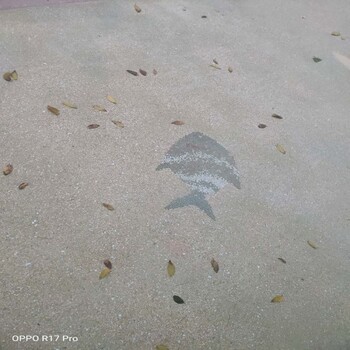 湖南湘西彩色砾石聚合物材料洗砂路面施工技术