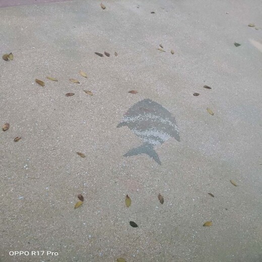 山东德州彩色砾石聚合物洗砂路面施工