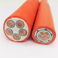 惠州成天泰YTTW电缆造价图片