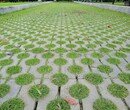 湖州植草砖厂家价格