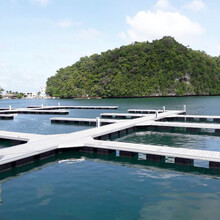 塑料浮箱水上平台浮桥钓鱼平台建设工程