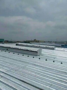 六安钢结构屋面防水防腐工程价格