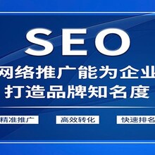 湖北武汉互联网营销网站seo优化