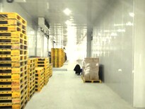 冷凍冷藏三溫倉出租食品冷鏈倉庫,上海水產品圖片2