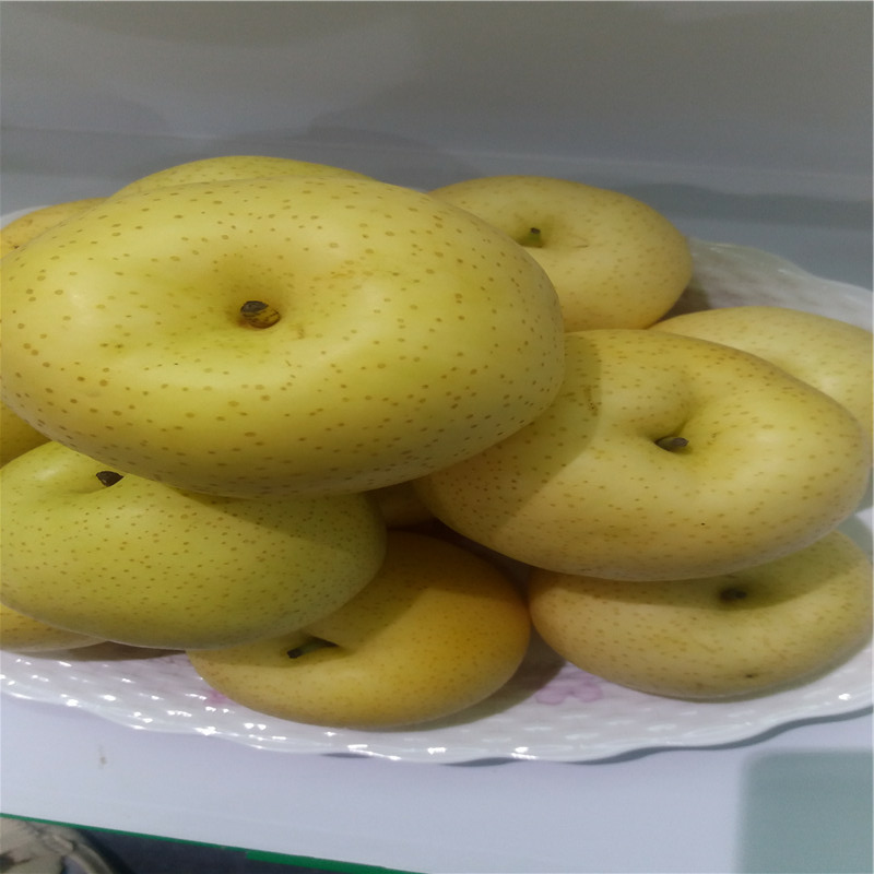 恩派蘋果苗規(guī)格恩派蘋果苗高產(chǎn)方法貨源地介紹