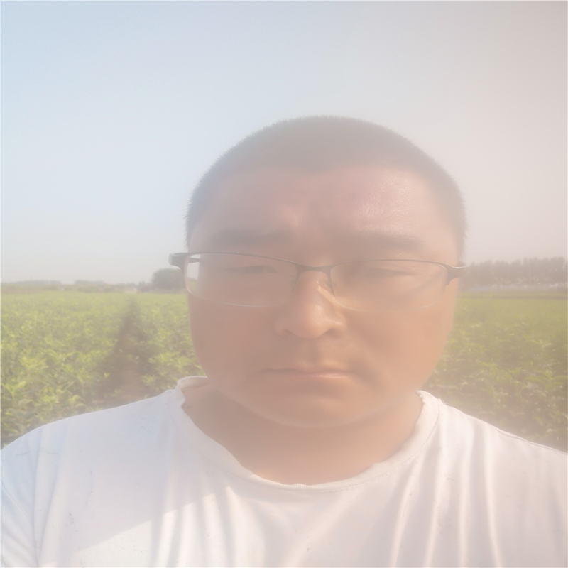 甜黃魁蘋果苗規(guī)格甜黃魁蘋果苗規(guī)格農(nóng)戶推廣