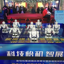 东莞春晚机器人出租报价图片
