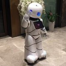 吐鲁番优友主持机器人租赁报价图片