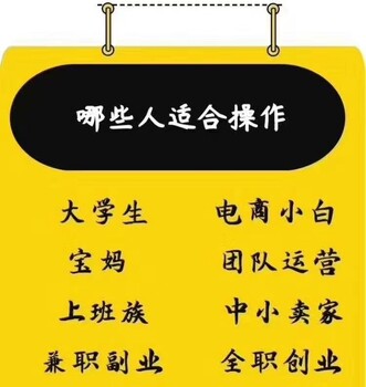 安徽六安拼多多店群软件端口65%返现，工作室代运营