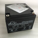 LEOCH/理士蓄电池12V24AHDJW1224S直流屏EPS/UPS通信电源电池