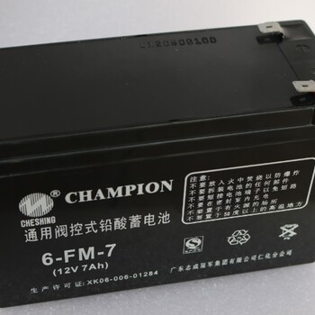 CHAMPION志成新款12V7AHNP7-12UPS电源照明门禁用蓄电池
