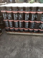 濰坊貨源雨季屋頂建筑防水卷材SBS改性瀝青防水卷材防水補(bǔ)漏材料