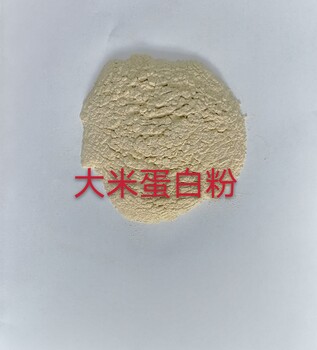 大米蛋白粉厂家蛋白70%